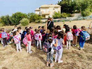 IMG b51a94a10db8d07576ed7f1a7ce81ffd V