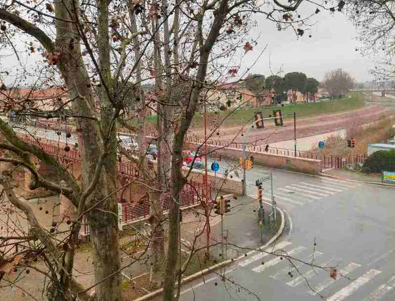cesena01