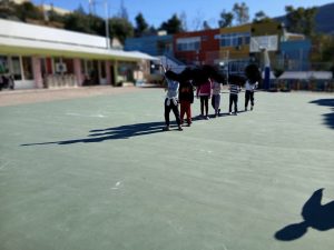 IMG 3552