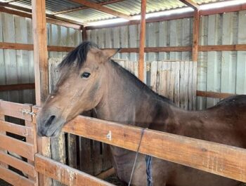 Εκπαιδευτική επίσκεψη στο Niva Ranch