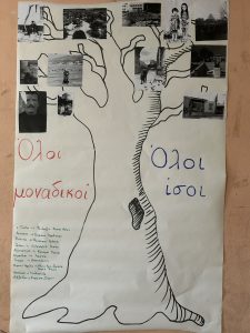 IMG 7986