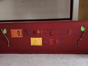 IMG 2550