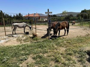 Γ΄ΤΑΞΗ ΕΣΠΙ
