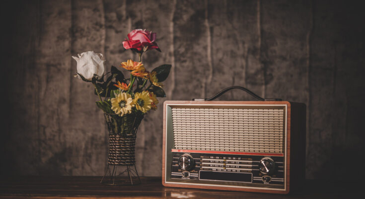 still life with retro radio receiver flower vases