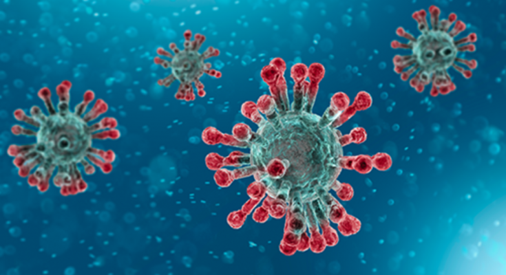 Coronavirus H 1024x621