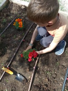 IMG 20250512 103307