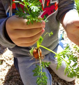 IMG 20230314 120550 1 2