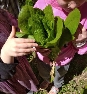 IMG 20230314 121049 1 2