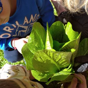 IMG 20230314 121142 1 3