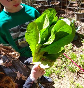 IMG 20230314 121348 1 3