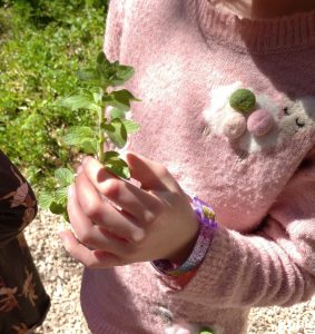 IMG 20230314 122035 1 2