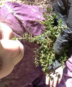 IMG 20230314 122224 1 4