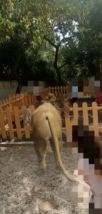 IMG 20231005 194117 1