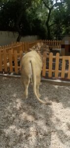 IMG 20231005 200038 1