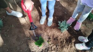 ΠΟΤΙΣΜΑ 300x169 1