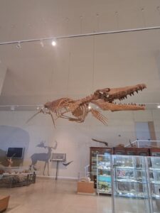 IMG 25fa9973cec9373ea687c5eacd377aea V