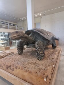 IMG 3d899bce80fd4dbb4eec60888428b186 V