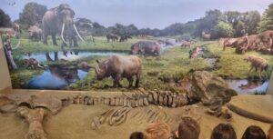 IMG 4f4981ff6670ba2a9dfc8e0b3d5e8234 V2