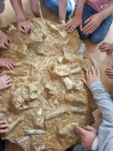 IMG 772fd481c672573725bc49913af7c896 V