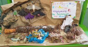 ΚΑΤΑΣΚΕΥΗ ΖΩΑ