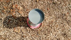 ΠΑΓΟΣ ΣΤΟΝ ΗΛΙΟ