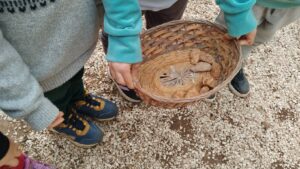 ΠΕΤΡΕΣ ΑΥΛΗ