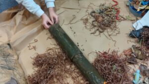 ΦΩΛΙΑ ΠΟΝΤΙΚΙΟΥ