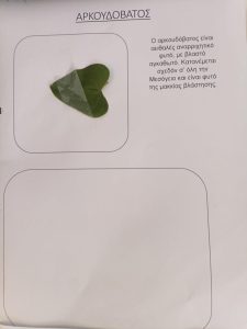 2048fe7d a9a0 4150 8181 440055aefa4f