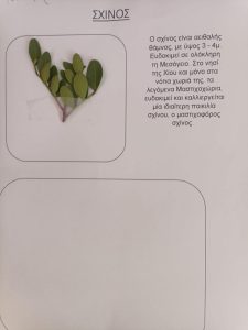 2db7660d 0725 44a5 95c4 0bcf9e712817