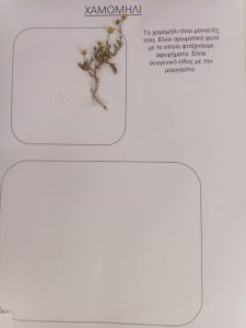 3bcc2170 1dfd 4de3 9bd1 02d5e41f5858