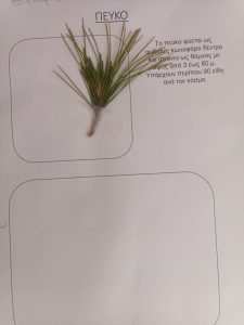 a6672179 5108 4e9f b99f df7dbf7dccfd