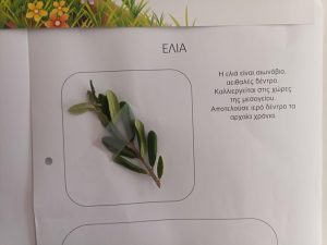 e678431a e745 46ad 8306 0aea154699b4