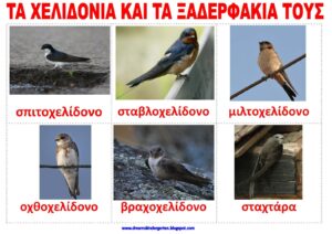 το χελιδόνι και τα χελιδονίσματα Σελίδα 2
