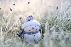 snowman g656359f5f 1920