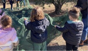 received 879237910675266