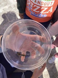 Messenger creation 735BA124 4912 47DB A653 CE75645D2A65