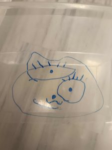 Messenger creation 9B241258 FD04 4F9A B34C AEA213BFFD1D