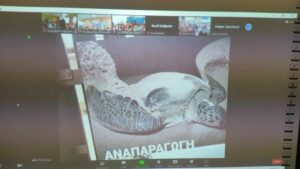 8b6f1a25 1412 4560 8ed0 adbf5324e6bd