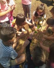 7f8d3197 8fbb 4467 90a0 03ca59280bd9