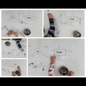 sorting activity kalaitzi vasiliki