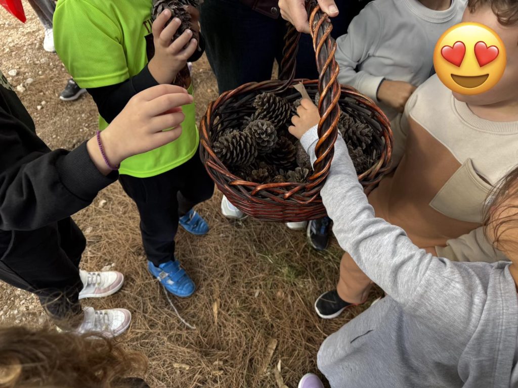 IMG 37f22f99511b9a41470723d811d94531 V