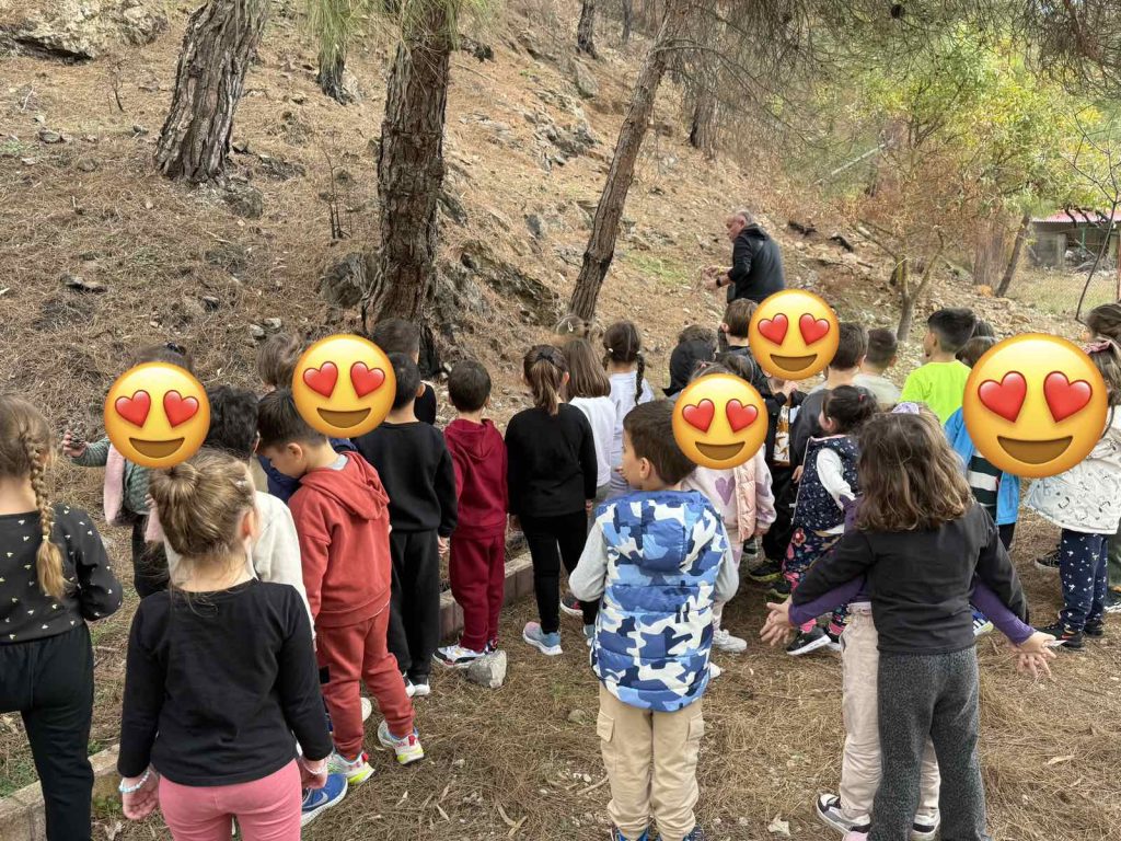 IMG 9f41dd2b16af4fb8ca9a43138462e700 V