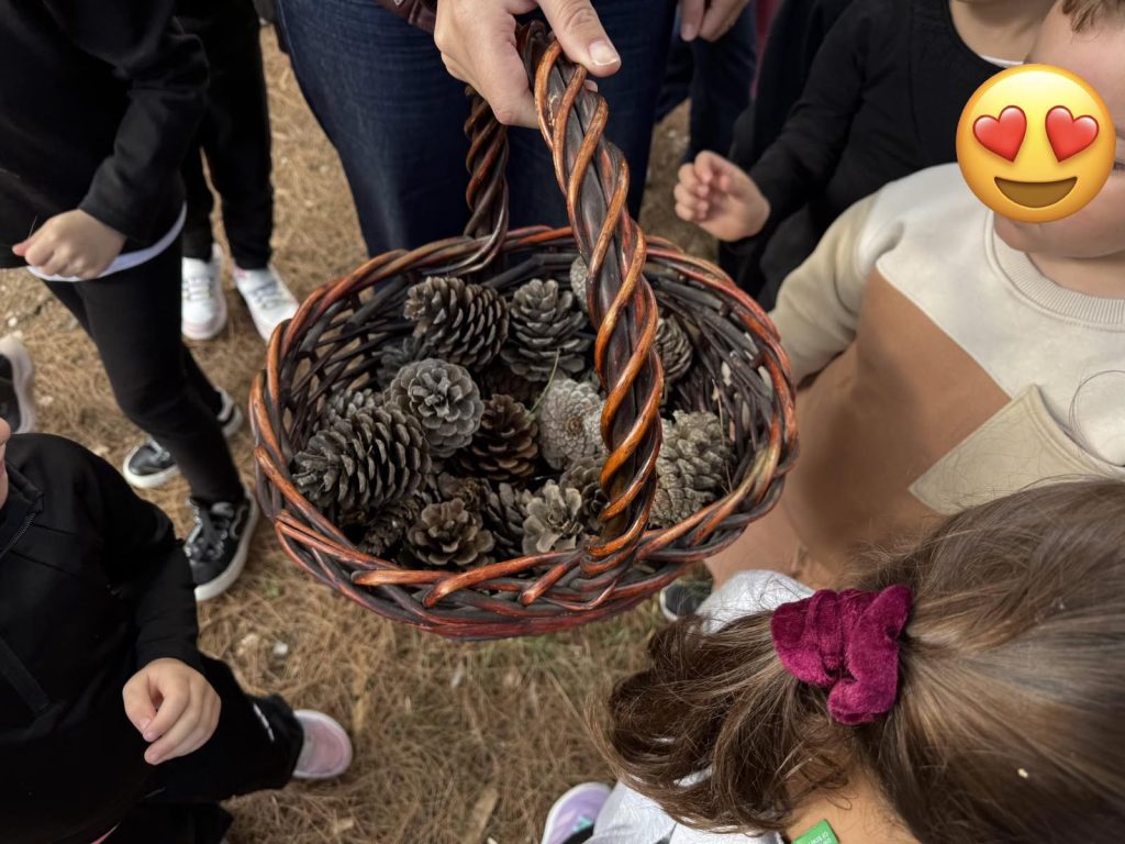 IMG f55988992faaea51c6909a883788bcf7 V