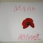 IMG 11ae8ccfd0cdfdbc3637d1e1a859ad0e V