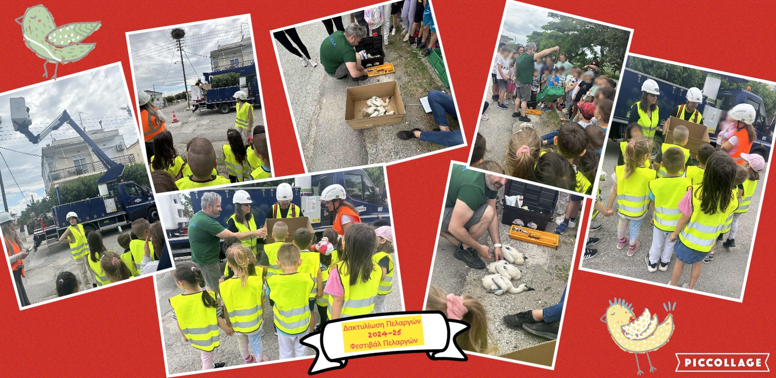 Daktyliosh pelargon 2024 25