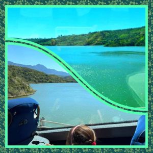 e66fd6de bec9 4cf1 a8b5 3e0326a4d037