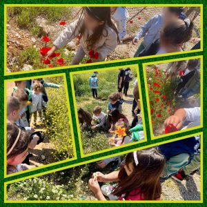 01e8d253 5db5 47ab a093 db71a612d34e