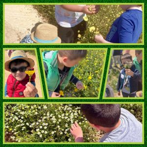 7963ed11 1370 4eb4 a6e2 b52da5db32df