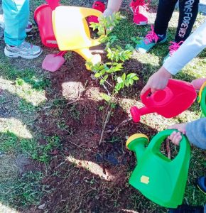 received 1020006208905530