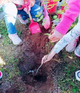 received 2355401337934051